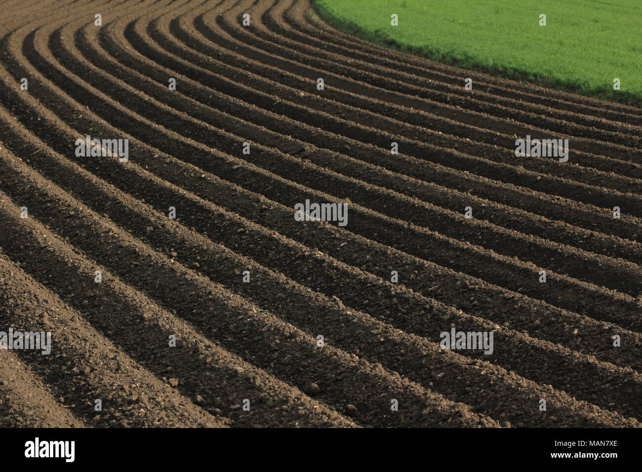 Agricultural cultivation: freshly ploughed soil Stock Photo - Alamy