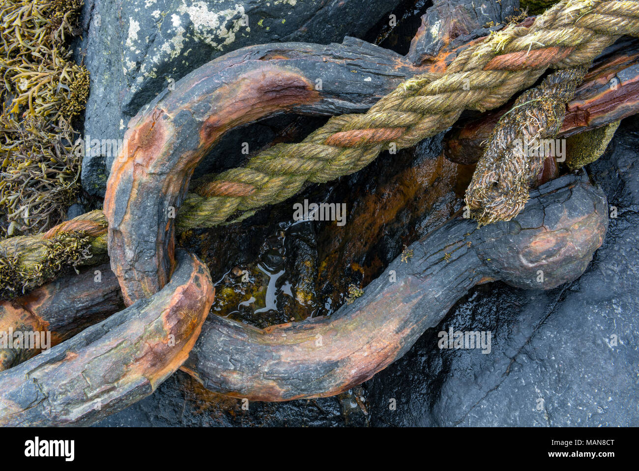 An old rusty corroded shackle with a rope and chain in a nautical or maritime scene on the beach in the Cornish fishing port of Newlyn. Rusty corroded Stock Photo