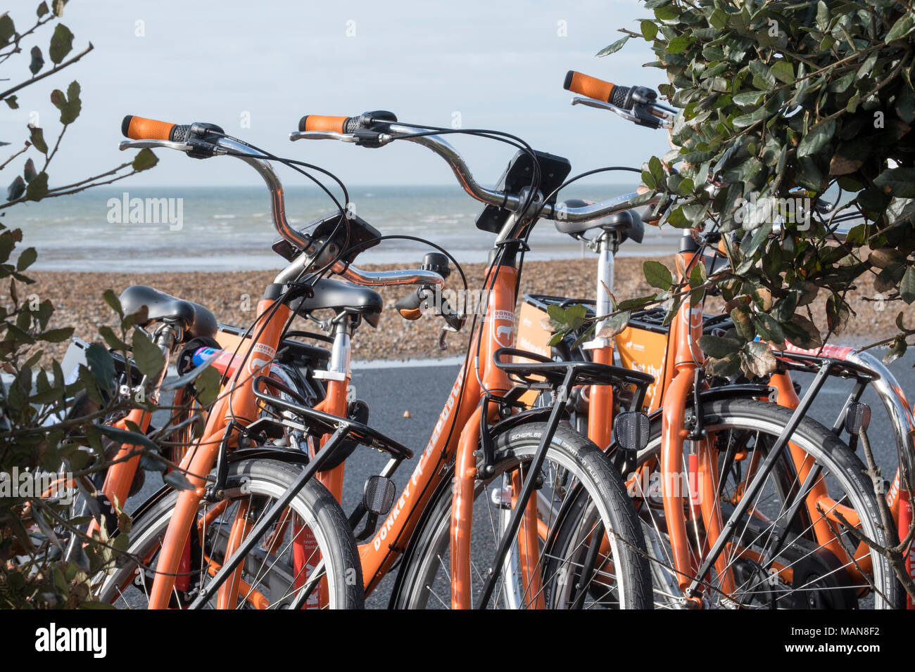 donkey bike rental