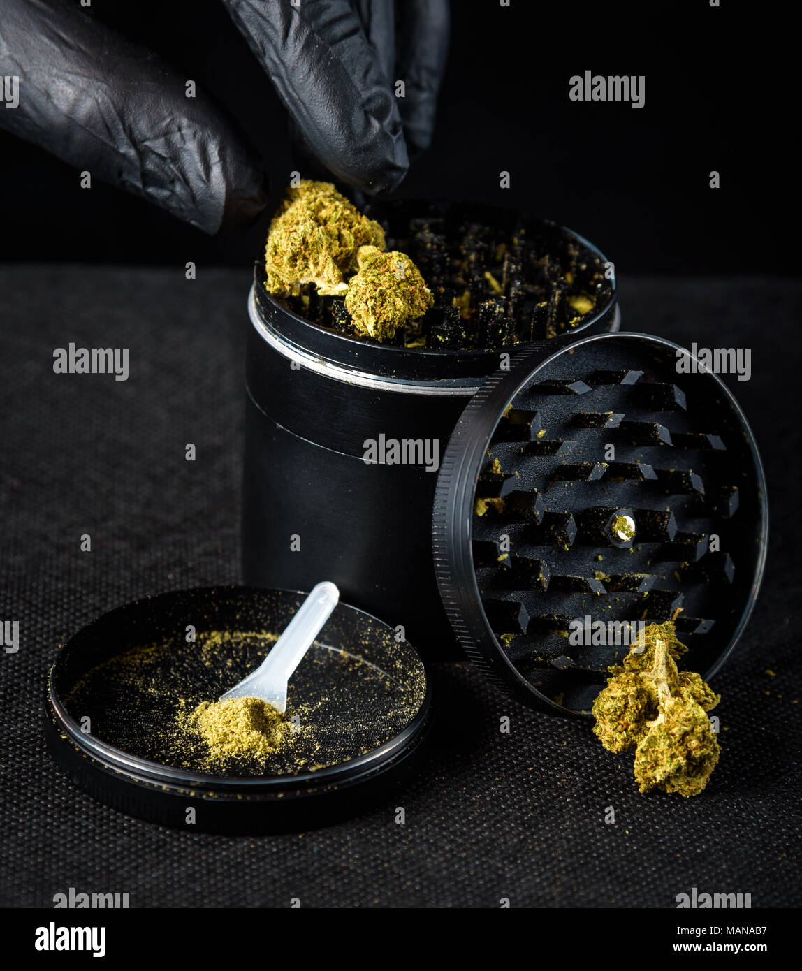 A medicinal marijuana grinder with keef and scraper. a hand with a black latex glove holding a fresh nug. Black background Stock Photo