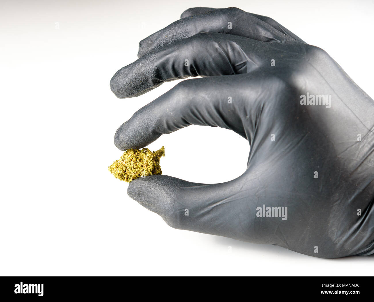 Medicinal marijuana being held by a black latex glove against a white background Stock Photo