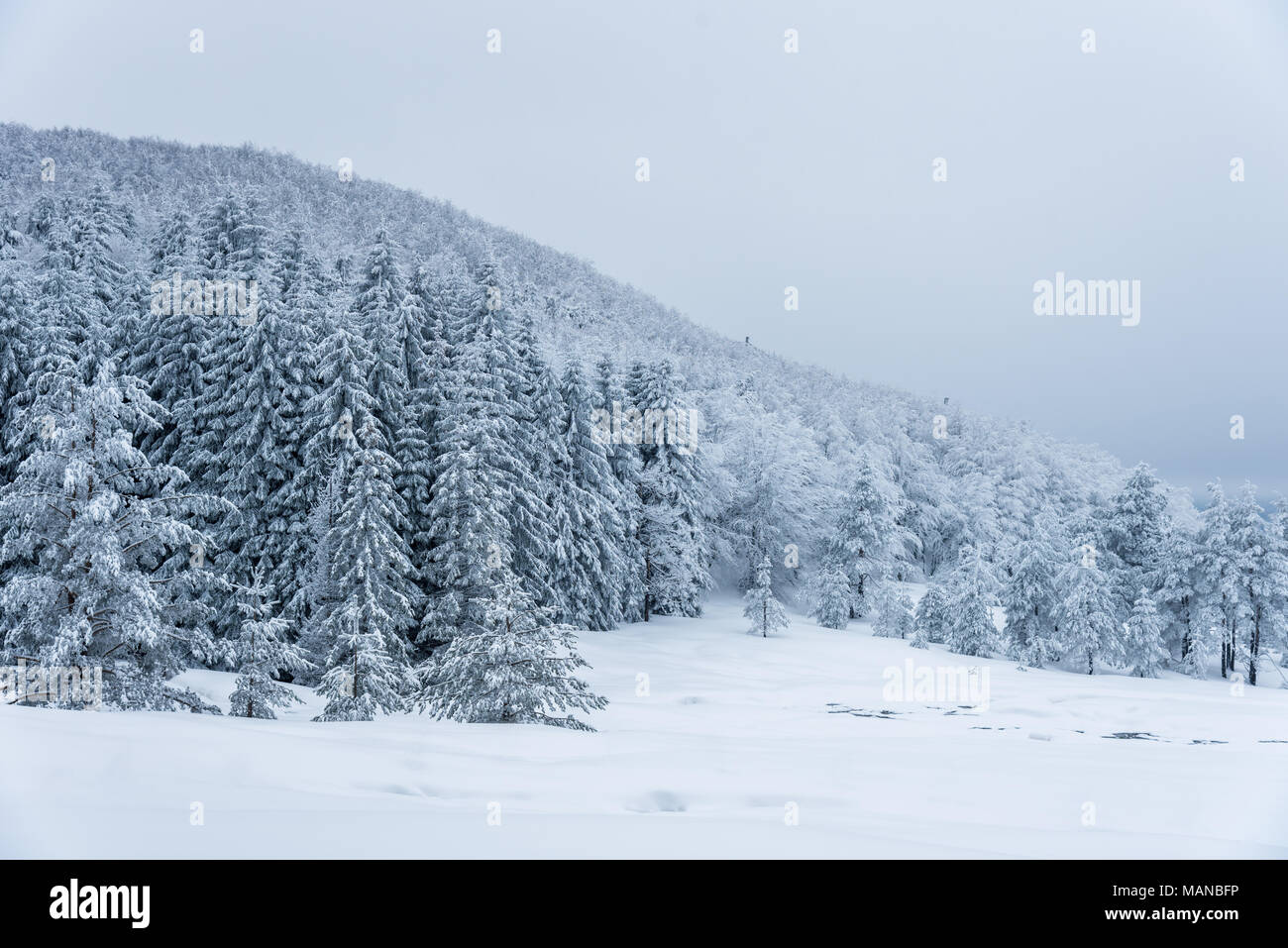Winter landscape of Bulgarian mountains Stock Photo - Alamy