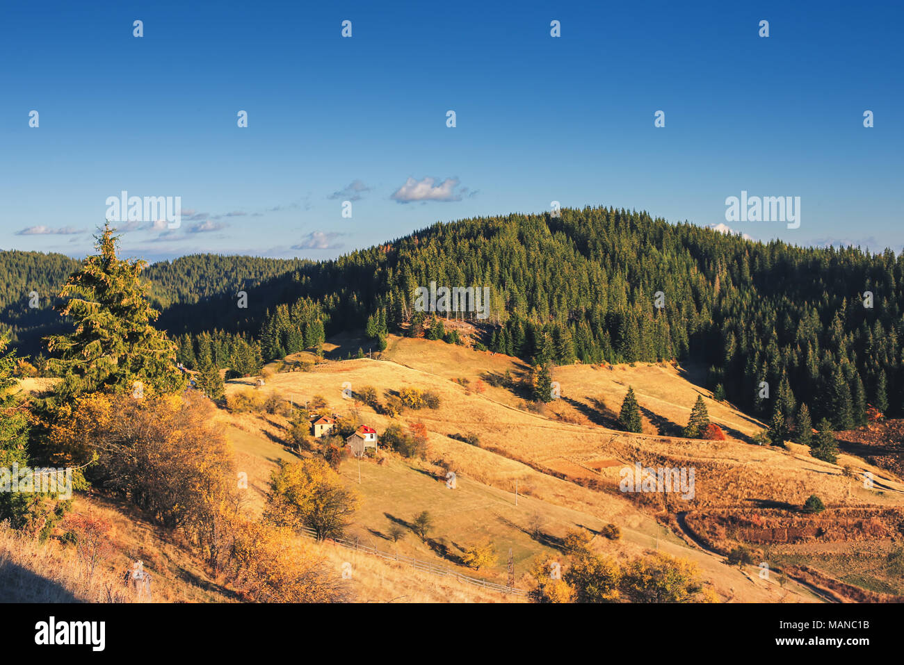 Mountain autumn landscape with colorful forest and traditional houses ...