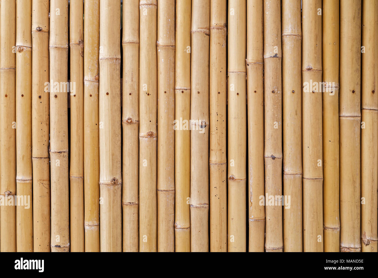 Close-up of a natural bamboo wall background with warm tones Stock Photo -  Alamy, image size:1300x956