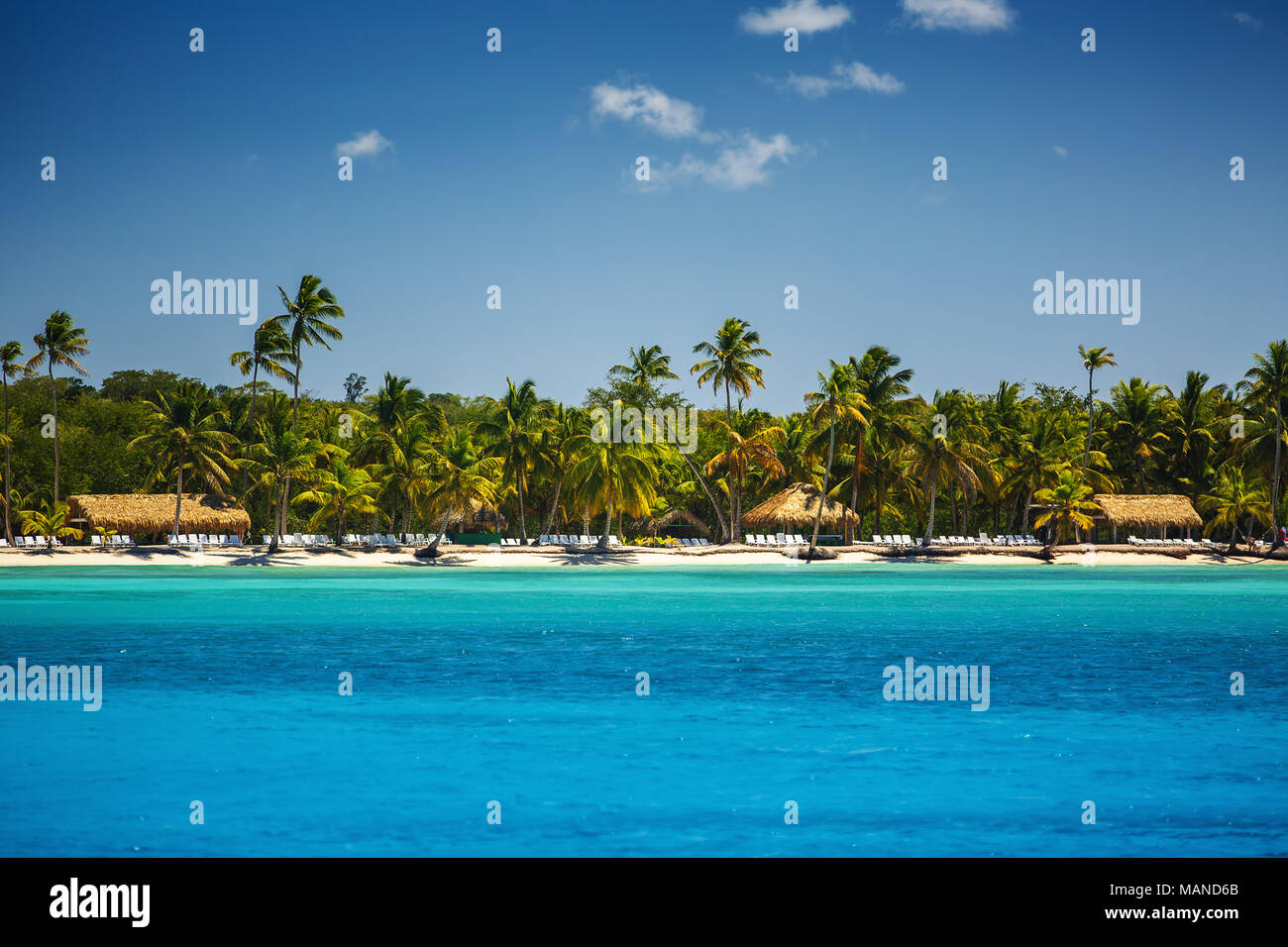 Palm trees on the tropical beach, Dominican Republic Stock Photo