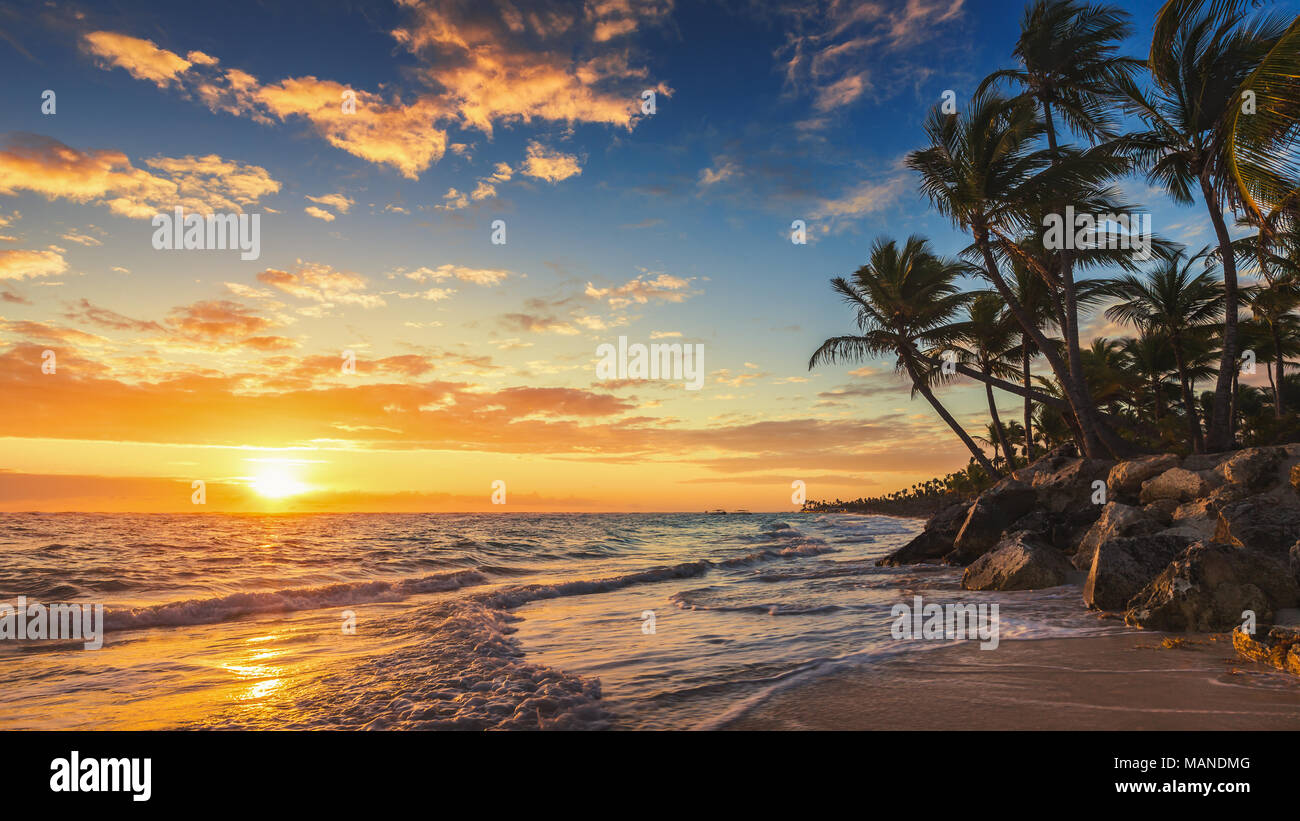Beautiful shot landscape tropical hi-res stock photography and images ...