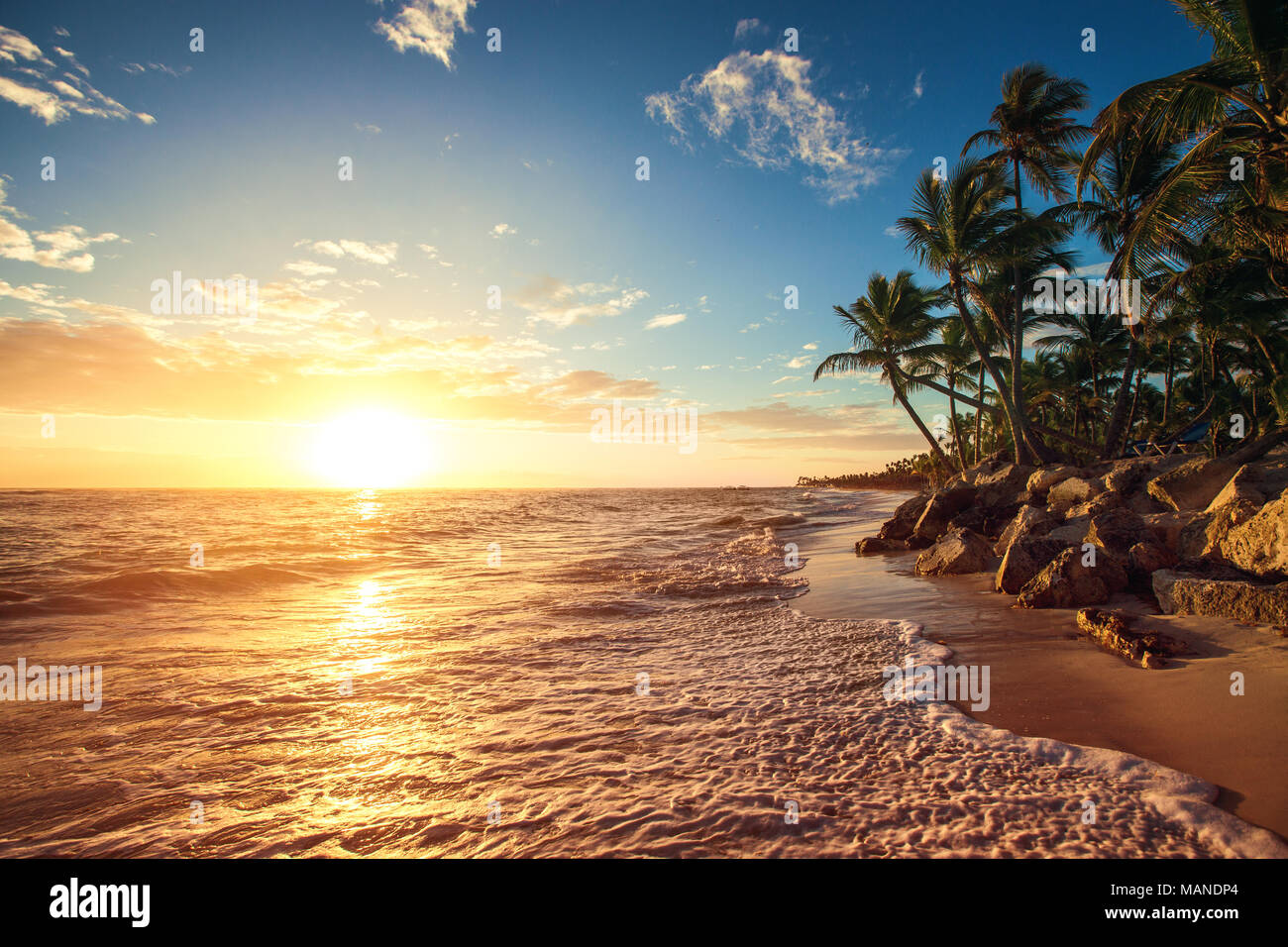 Palm trees on the tropical beach, sunrise shot Stock Photo - Alamy