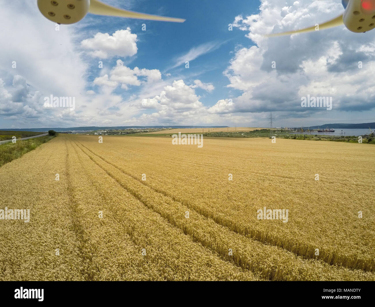 Ripe wheat fields drone hi-res stock photography and images - Alamy