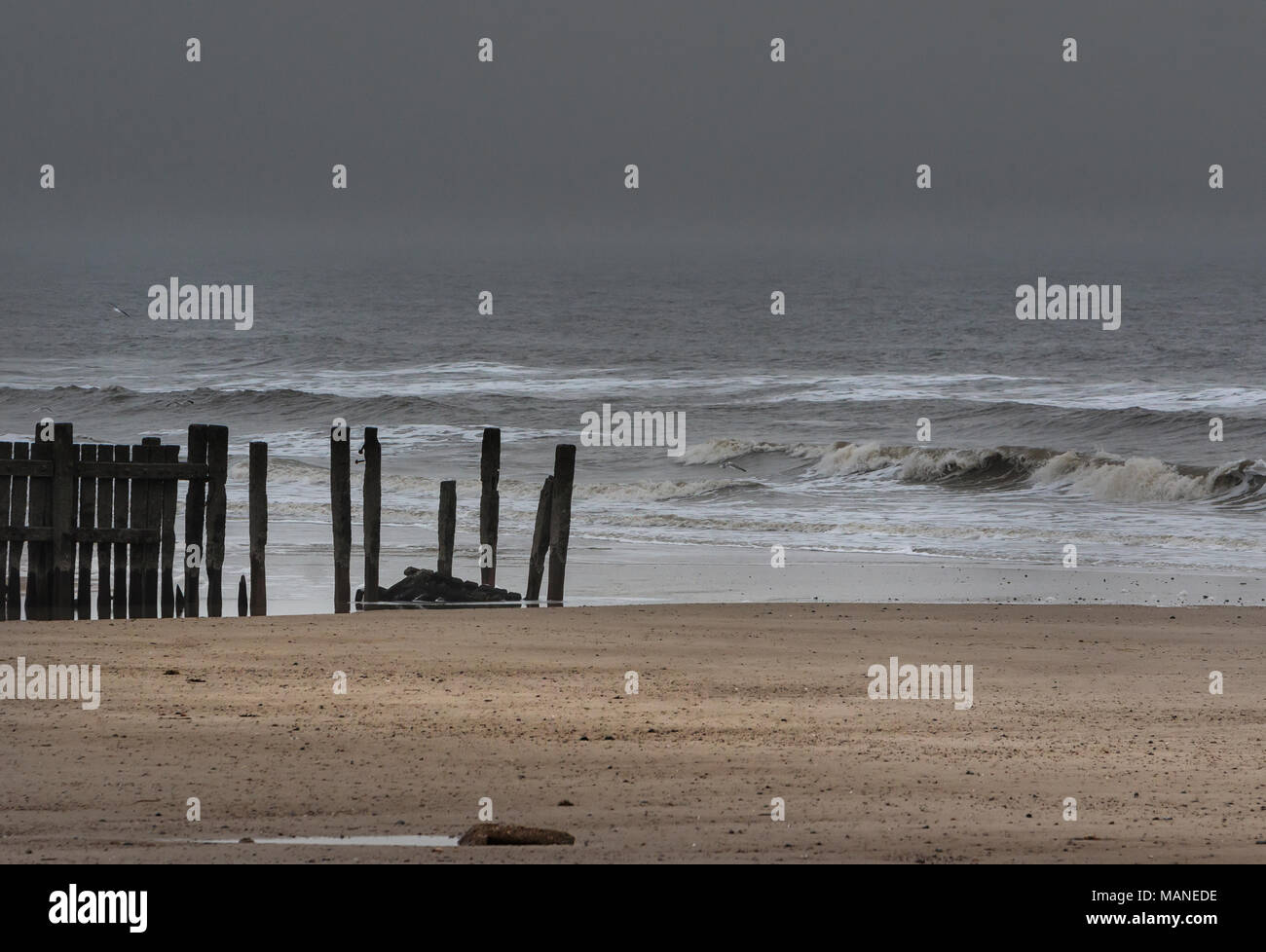 Cold North Sea in Winter from the beach. Stock Photo