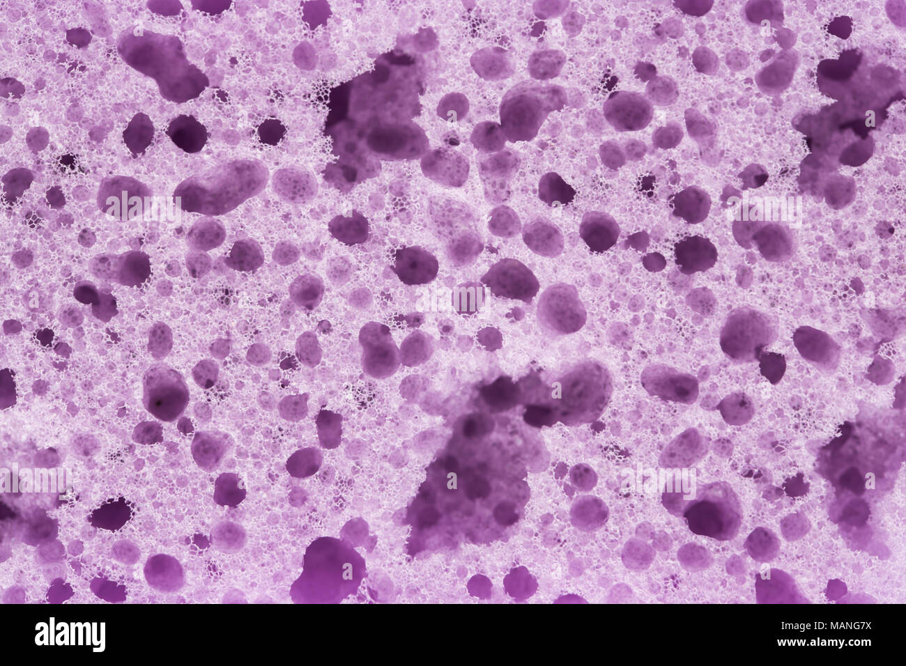 Bath sponge texture with big holes background Stock Photo