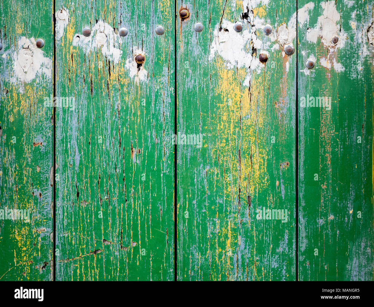 The texture of an old wood gate with rusted nails. Stock Photo
