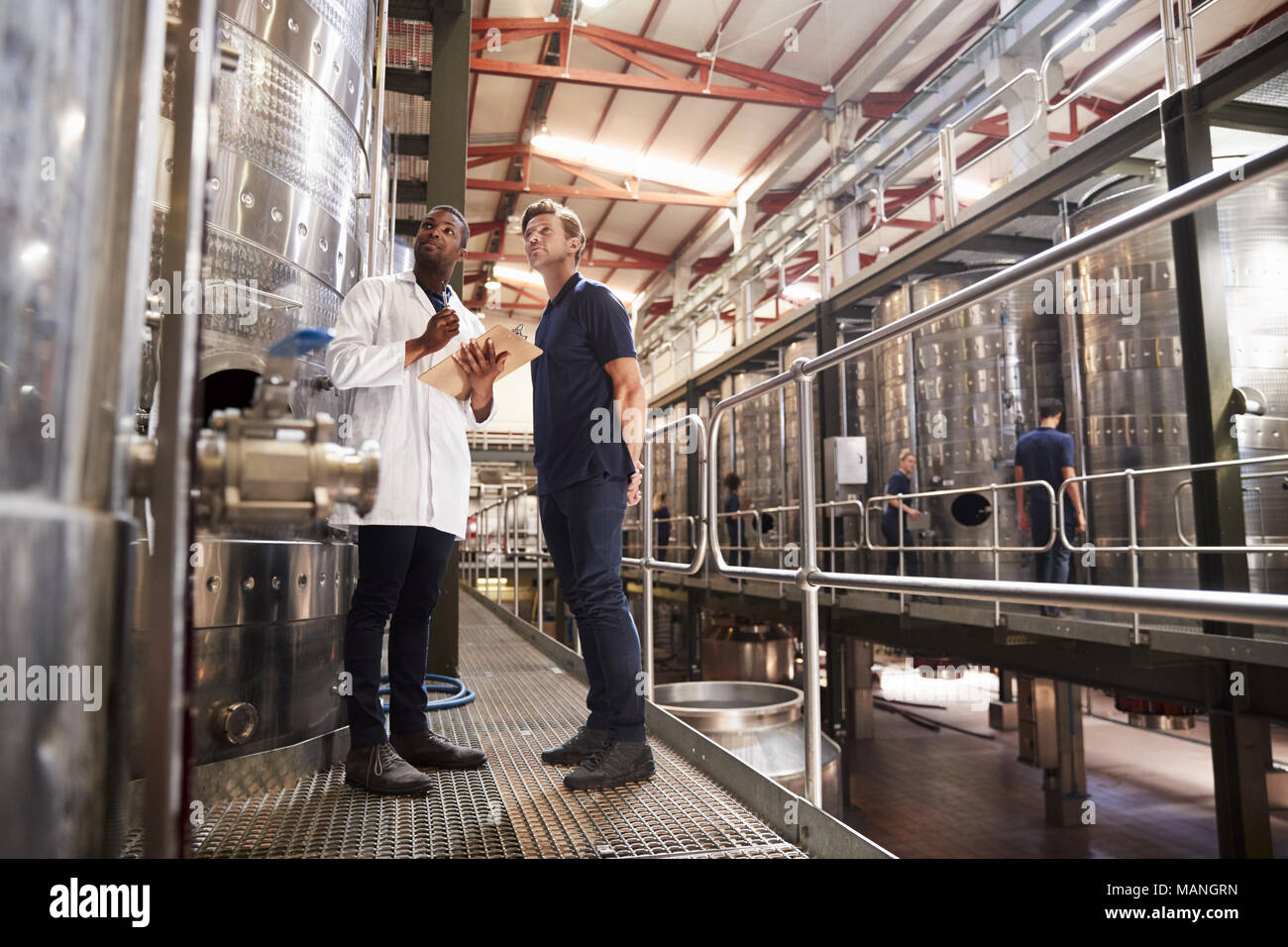 Two male technicians working at a wine factory, low angle Stock Photo