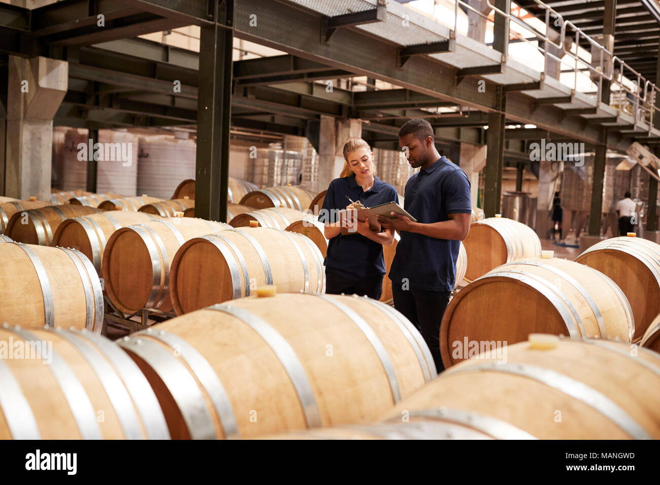 Two staff inspecting barrels in a wine factory warehouse Stock Photo