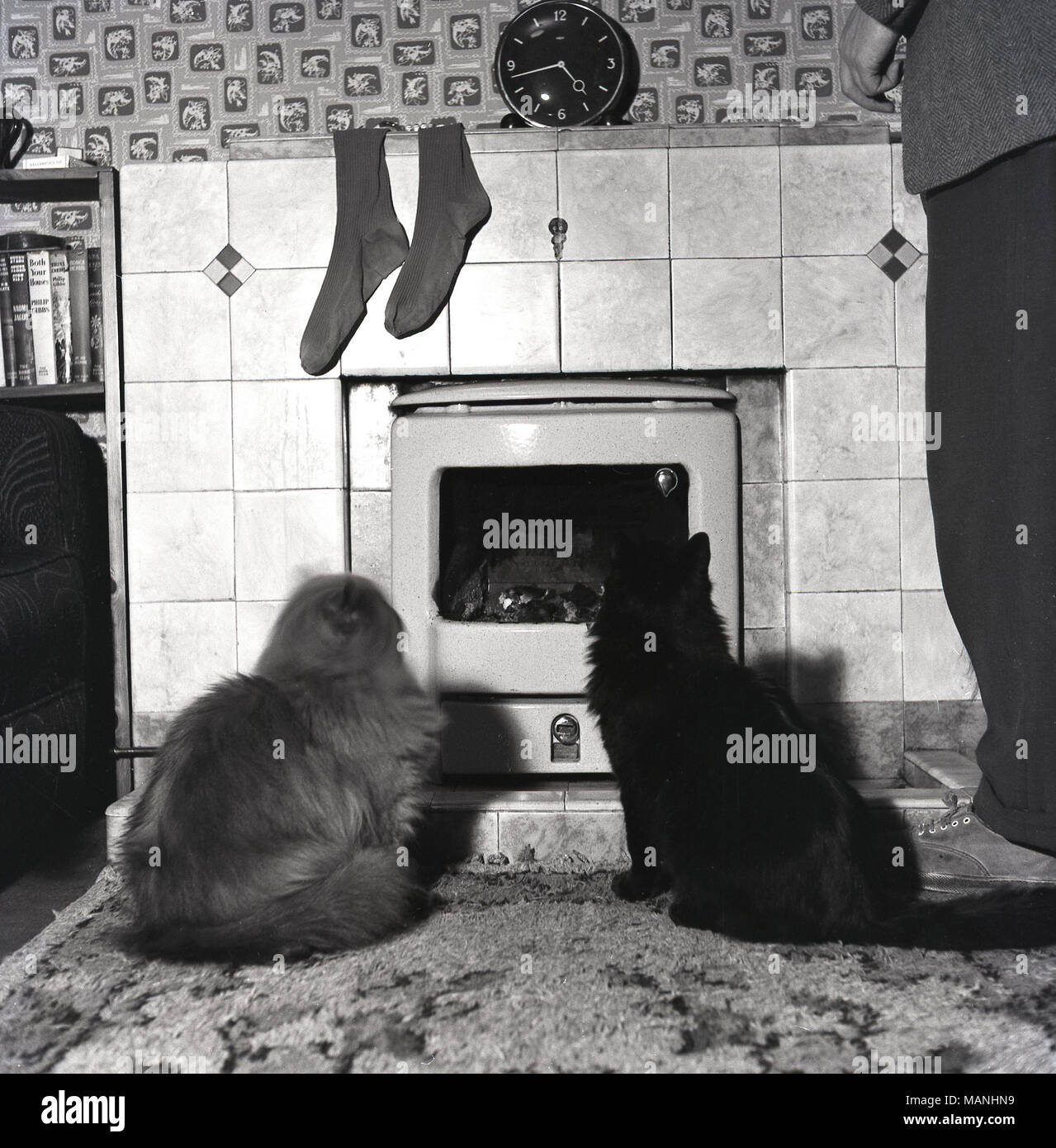 1960s, historical, two cats in a living room of a house sitting beside each other on a scruffy rug infront of, staring at and fascinated by, a real fire, England, UK. A pair of men's socks hangs over the fireplace tiles drying. Stock Photo