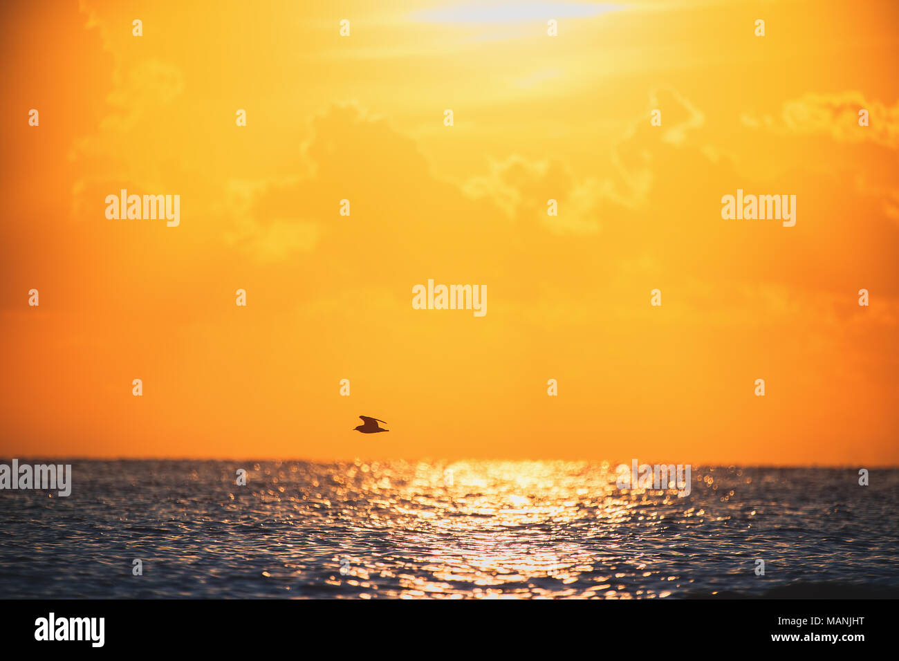 Beautiful landscape sunrise hi-res stock photography and images - Alamy