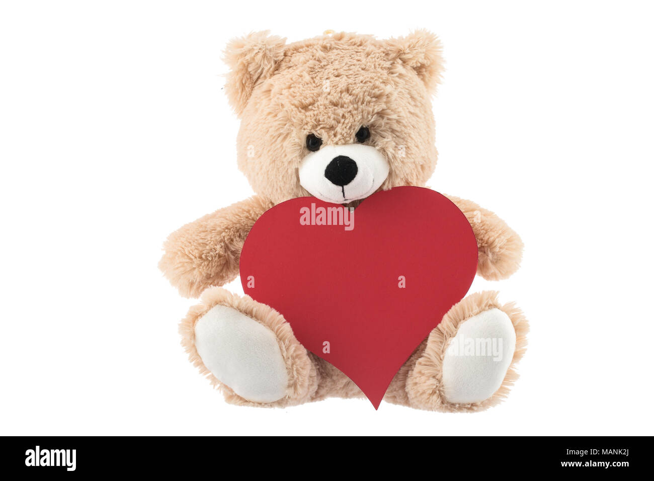 Teddy Bear Holding a Heart isolated on white background. Valentine’s ...