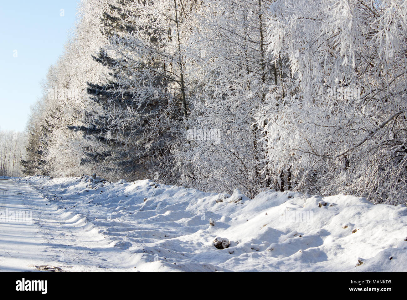 Winter road with tire tracks in the snow Stock Photo - Alamy