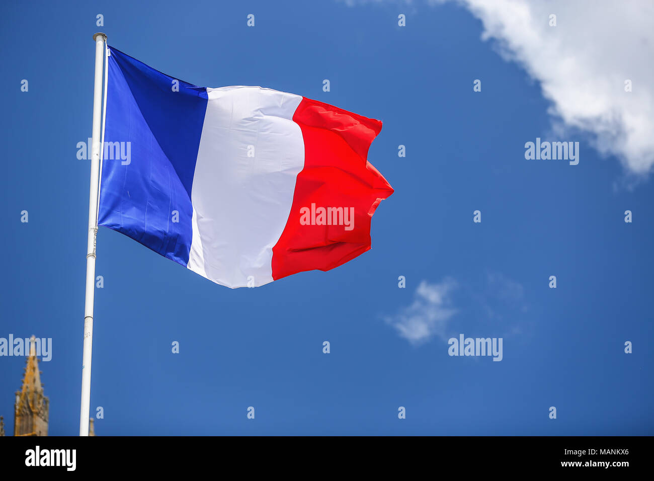 0.65sqft landscape flag 20x30cm 8x12in Car Flag Poles 0.06m/² DIPLOMAT-FLAGS Zl/ín Region Flag