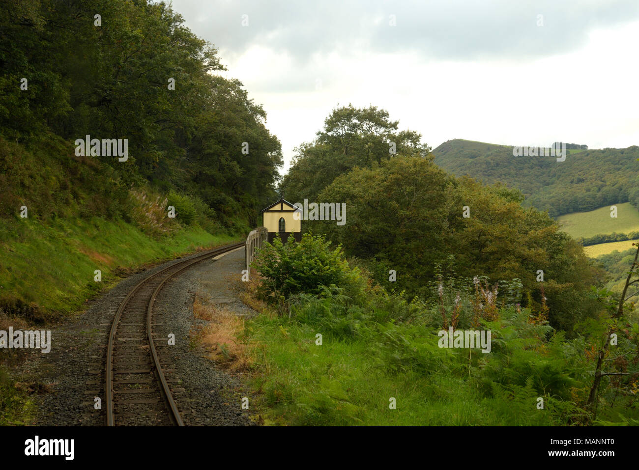 Rheidol Valley Railway, passing Rhiwfron Halt Stock Photo