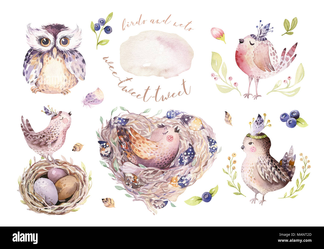Hand drawing easter watercolor flying cartoon bird and eggs with leaves, branches and feathers. Watercolour spring art illustration in vintage boho style. Greeting bohemian card Stock Photo - Alamy Hand drawing easter watercolor flying cartoon bird and eggs with leaves, branches and feathers. Watercolour spring art illustration in vintage boho style. Greeting bohemian card Stock Photo - Alamy