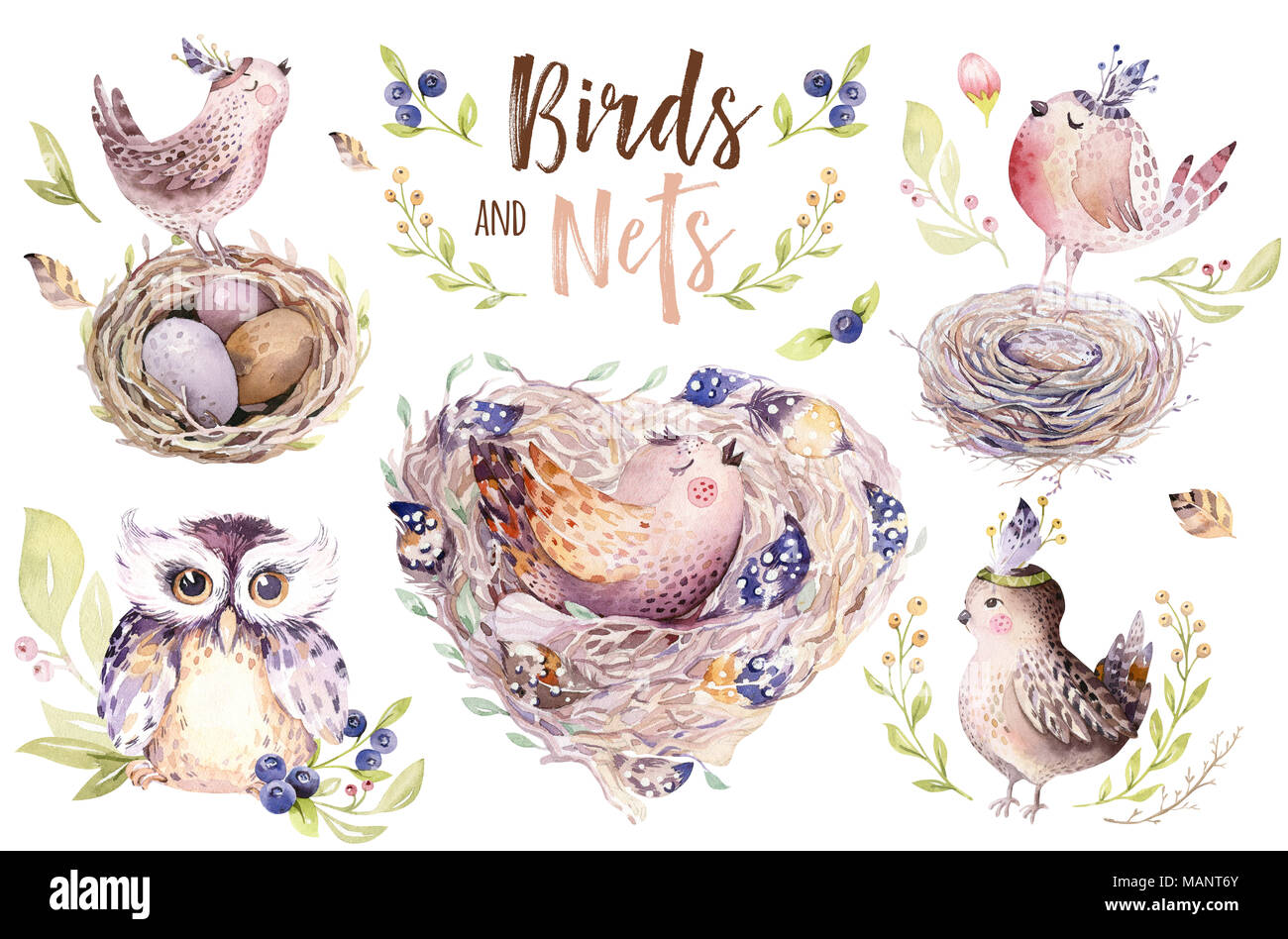 Hand drawing easter watercolor flying cartoon bird and eggs with leaves, branches and feathers. Watercolour spring art illustration in vintage boho style. Greeting bohemian card Stock Photo - Alamy Hand drawing easter watercolor flying cartoon bird and eggs with leaves, branches and feathers. Watercolour spring art illustration in vintage boho style. Greeting bohemian card Stock Photo - Alamy