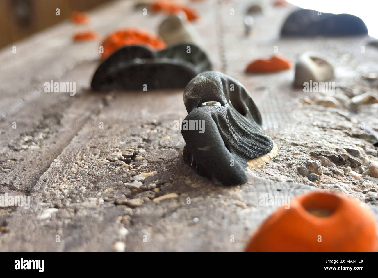 Climbing wall or bouldering wall with holds and selective focus. Stock Photo
