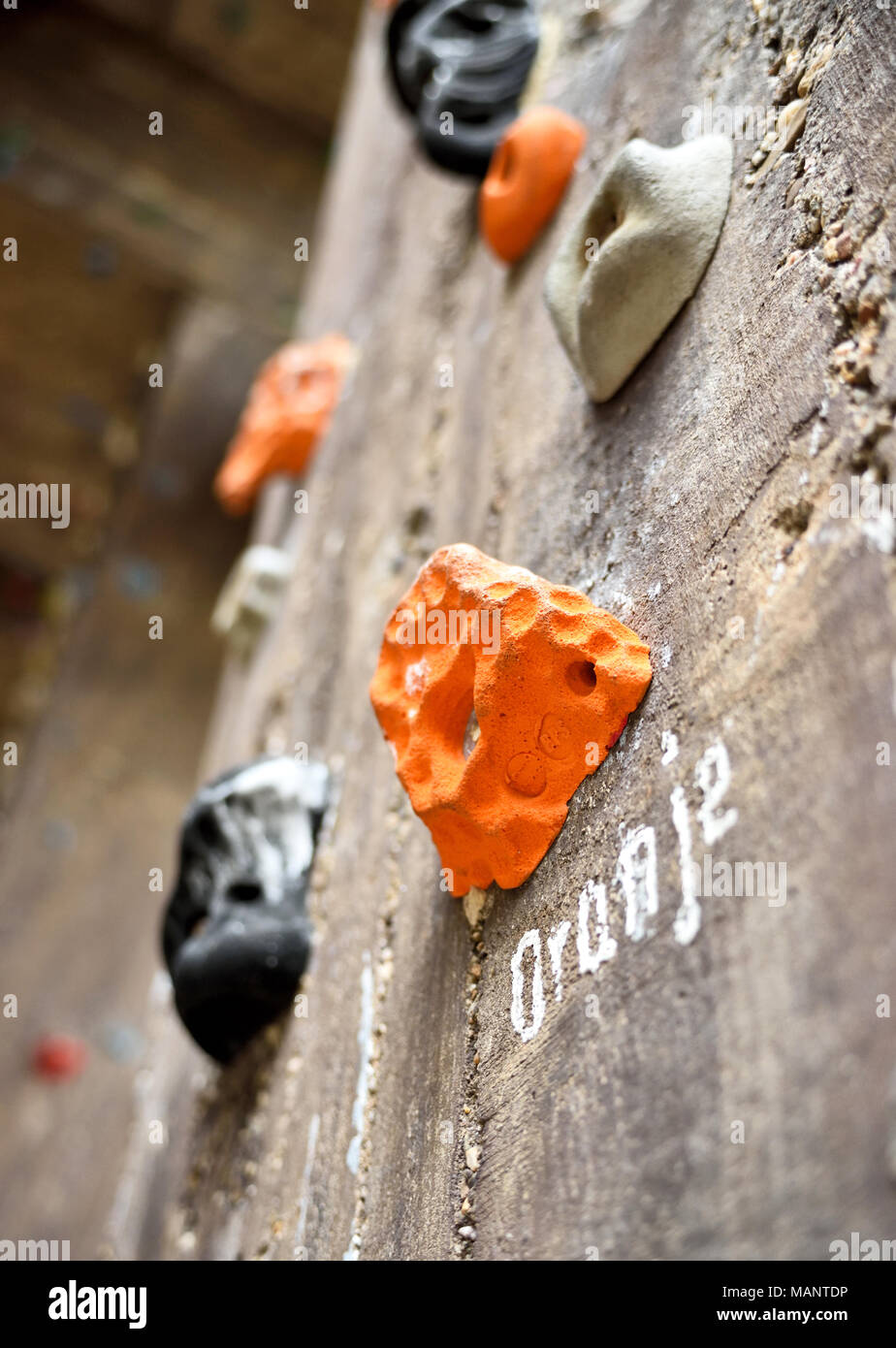 Climbing wall or bouldering wall with holds and selective focus. Stock Photo