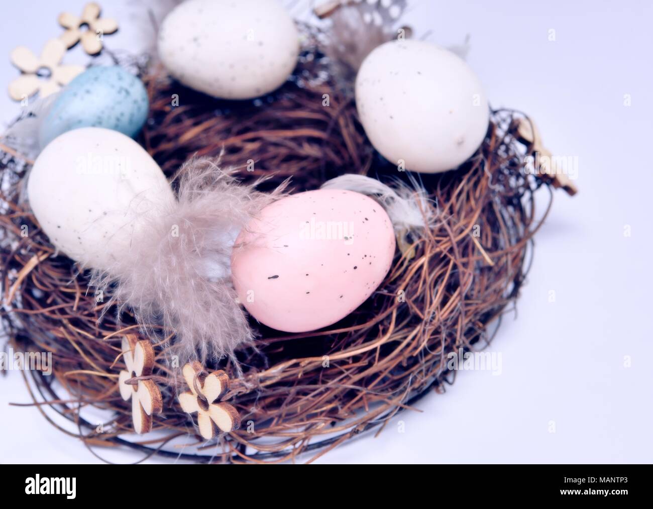 Nest egg concept Stock Photo