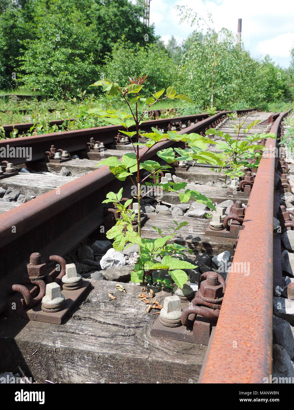 Abandoned and overgrown railway track, outdoor scene. Stock Photo