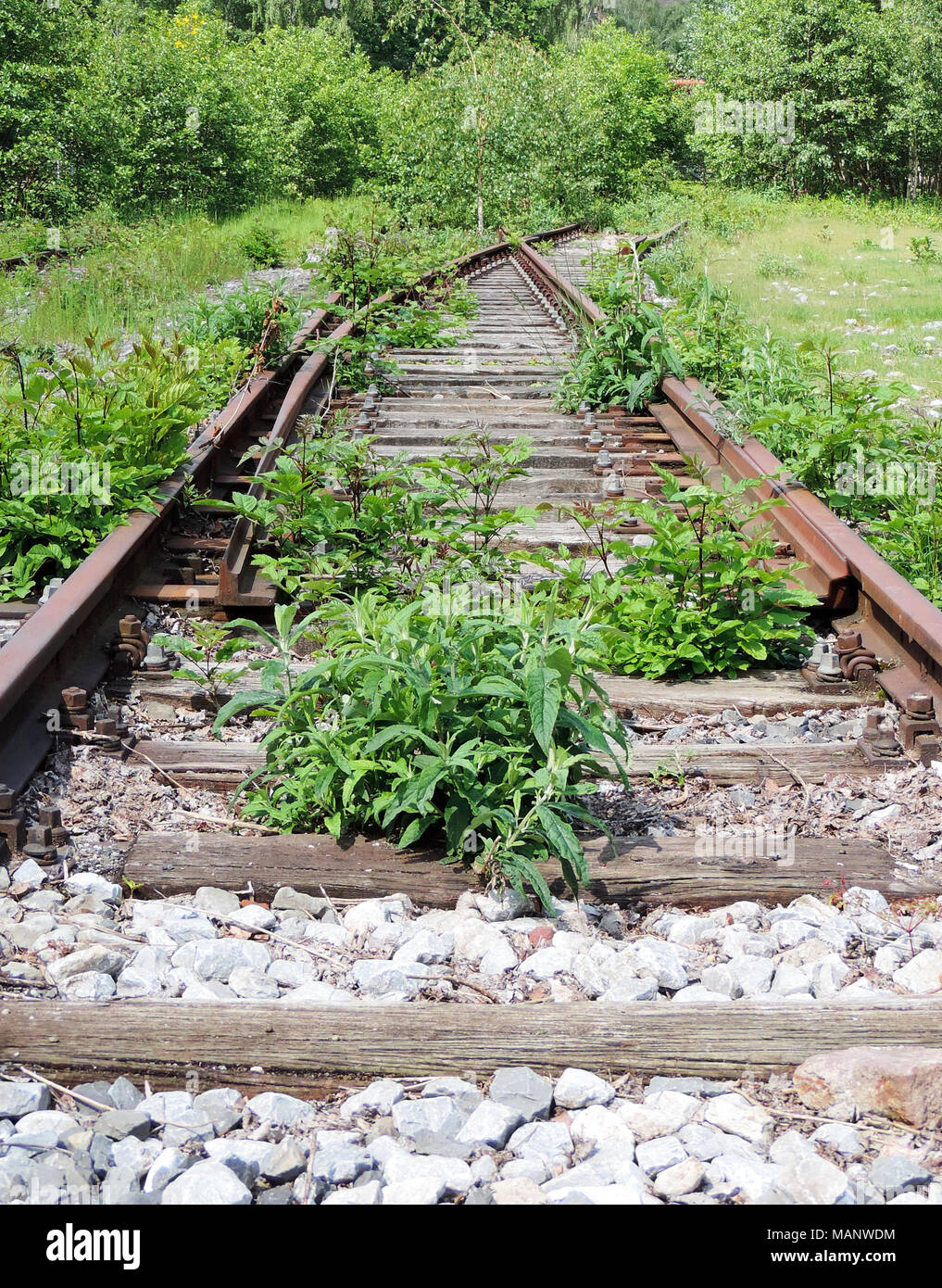 Abandoned and overgrown railway track, outdoor scene. Stock Photo