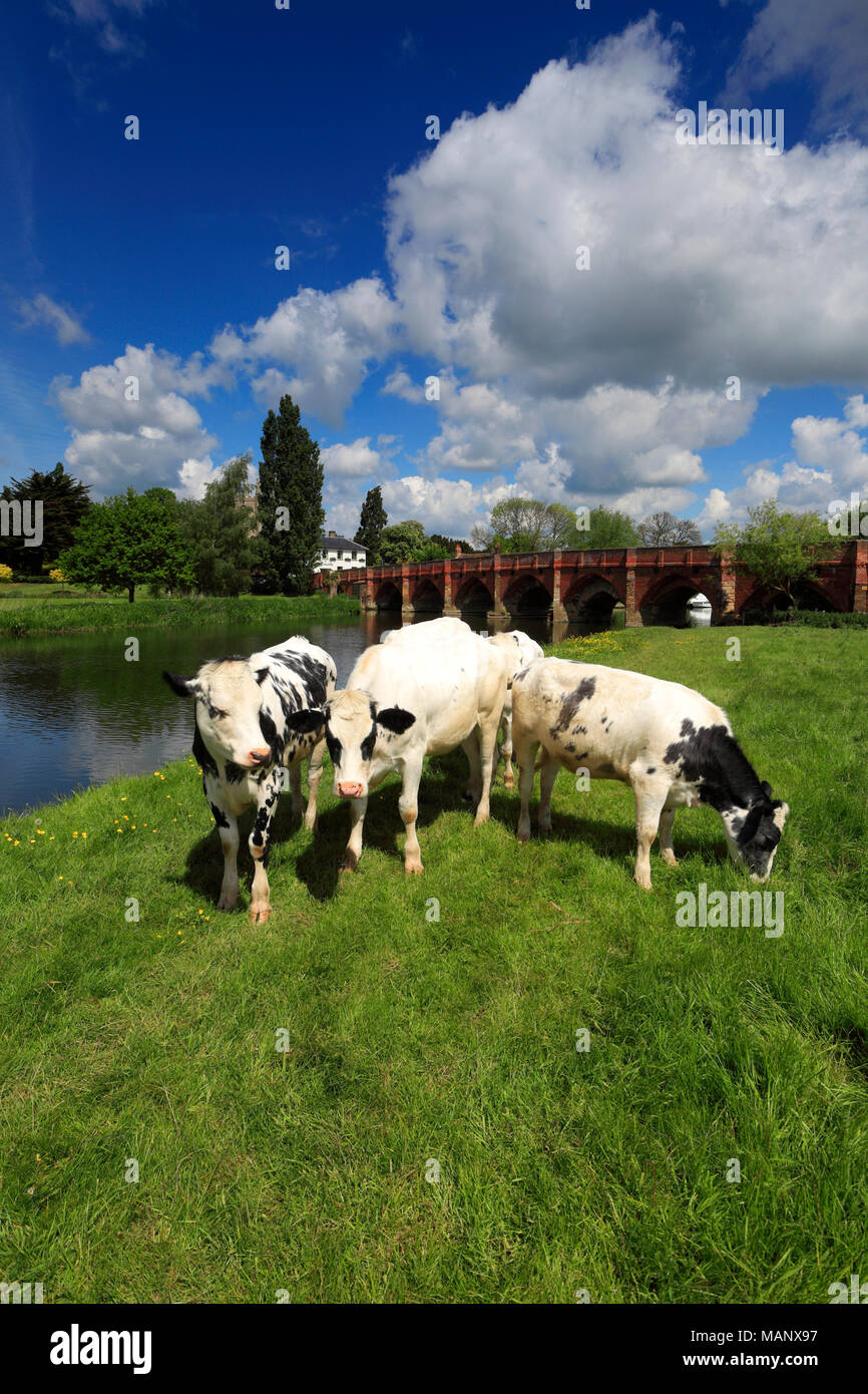 Summer view of the bridge over the river Great Ouse, Great Barford