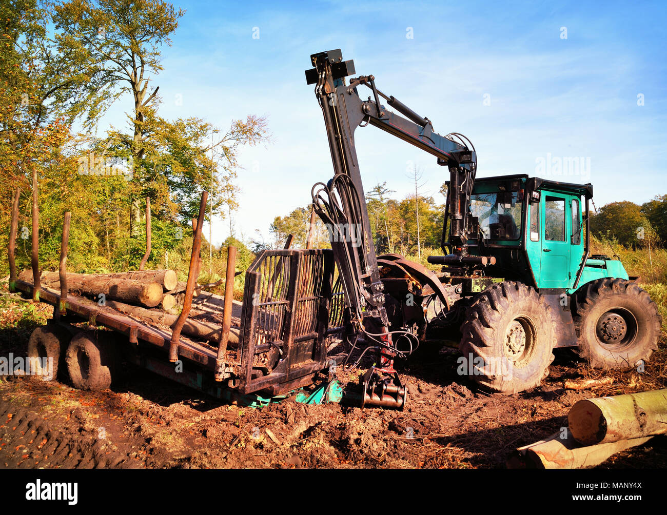 Lumber industry scene with pile of wood or tree trunks and tractor machinery. Stock Photo