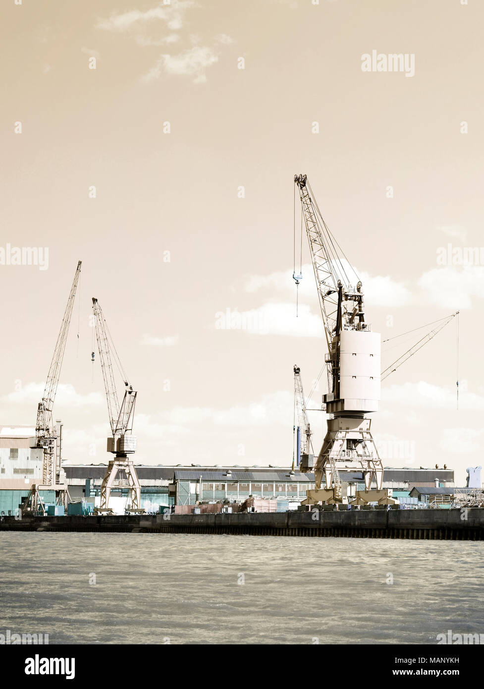 Container harbor with harbor cranes or freight cranes. Warf or cargo shipping scene, industrial transportation or shipping scene. Hamburg harbor. Stock Photo