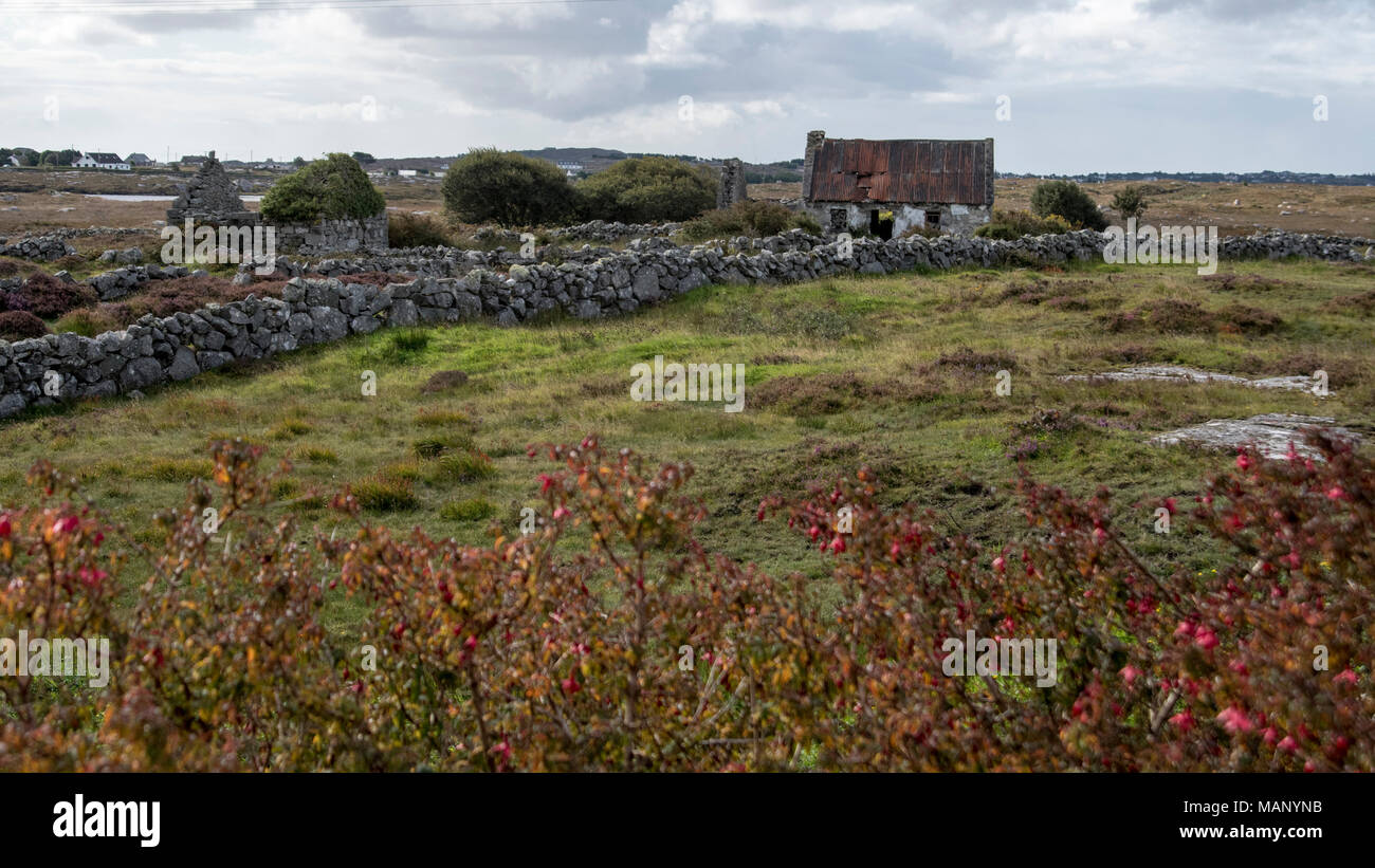Abandoned Irish farm and rock wall. Stock Photo