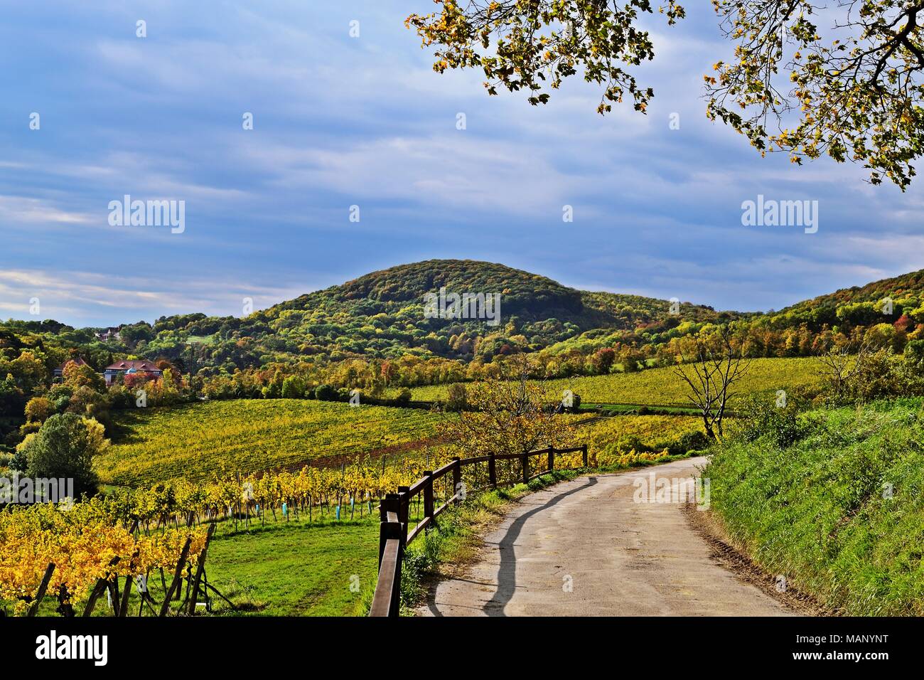 Kahlenbergdorf near Vienna, Austria Stock Photo