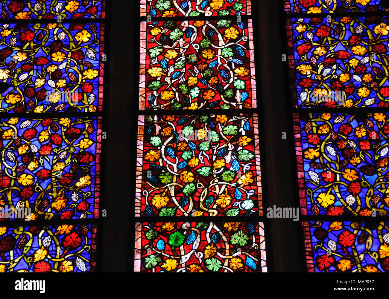 Stained glass, Cathedral of León. Castilla y León, Spain Stock Photo