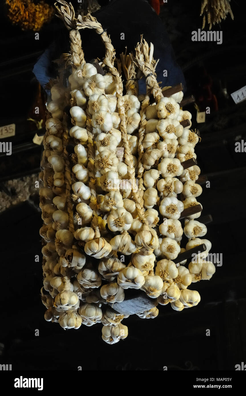 Garlic. Trás-os-Montes, Portugal Stock Photo