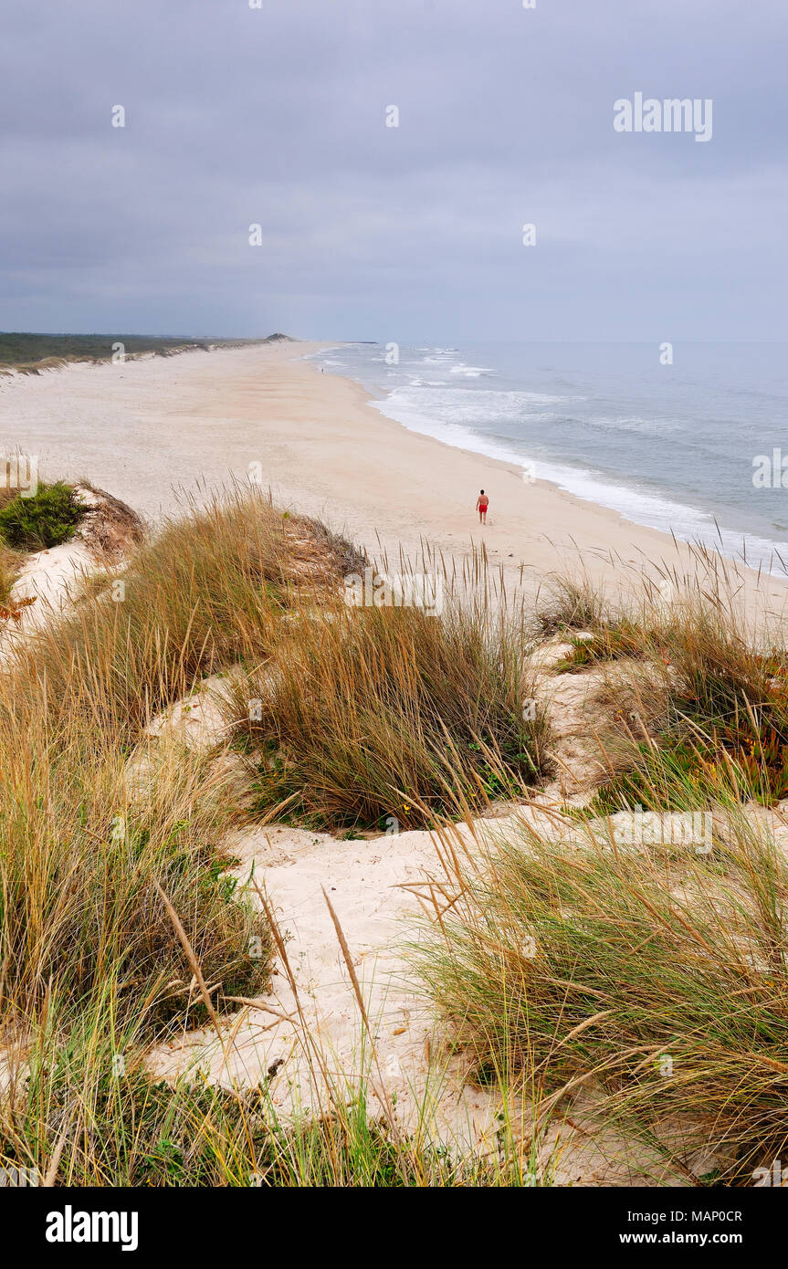 Areão beach, Aveiro, Portugal Stock Photo - Alamy