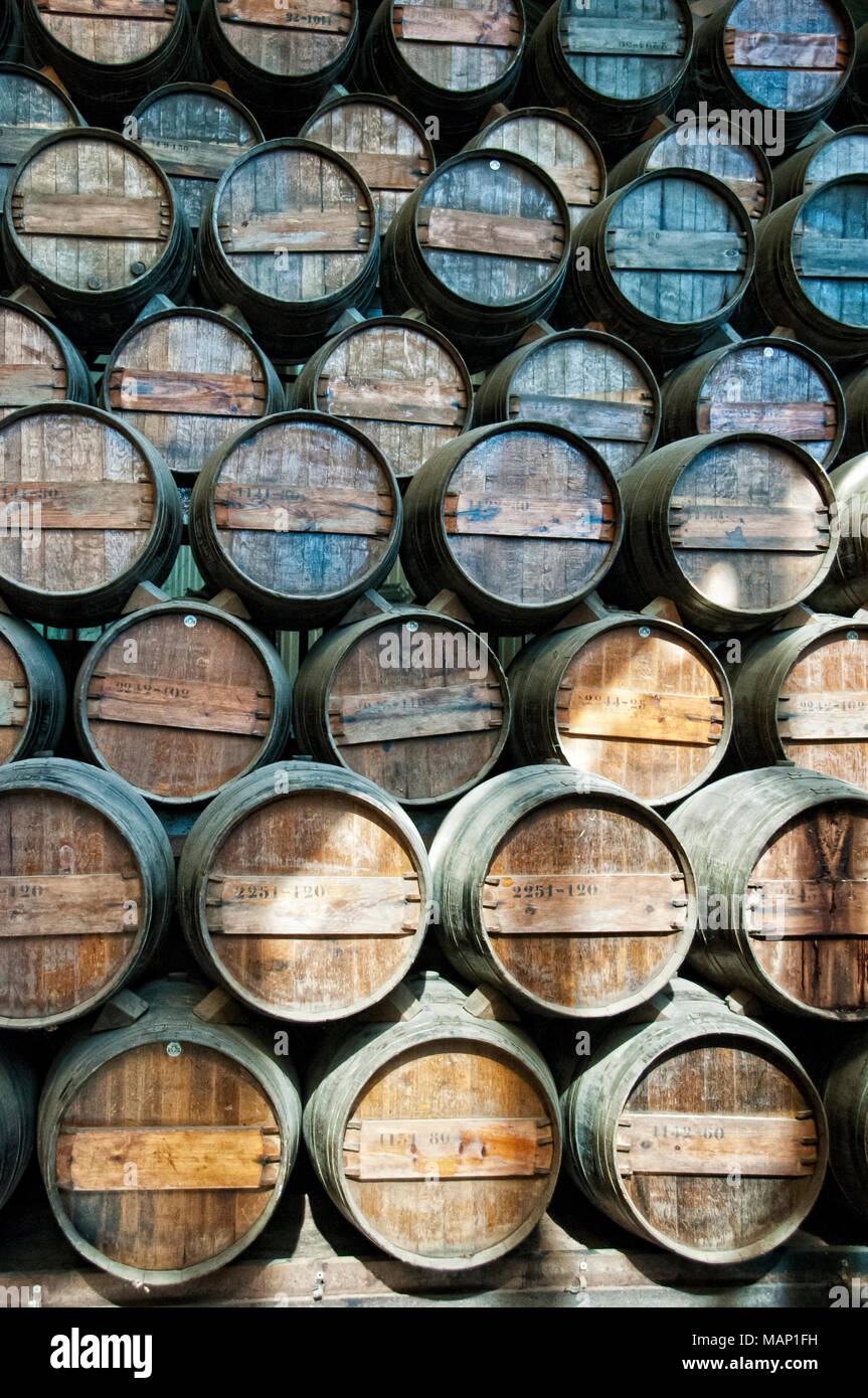 Bacalhôa wine cellars. Vila Nogueira de Azeitão, Portugal Stock Photo