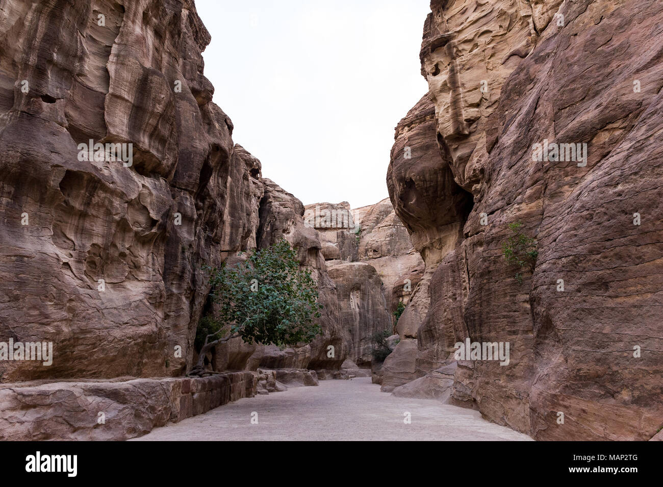 The Siq is the main entry road that leads to the Treasary hall in the archeological city Petra, Jordan. Stock Photo