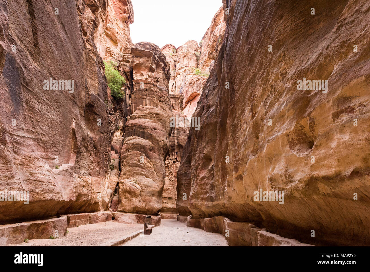 Petra is a historical and archaeological city in the southern Jordanian governorate of Ma'an that is famous for its rock-cut architecture . Stock Photo