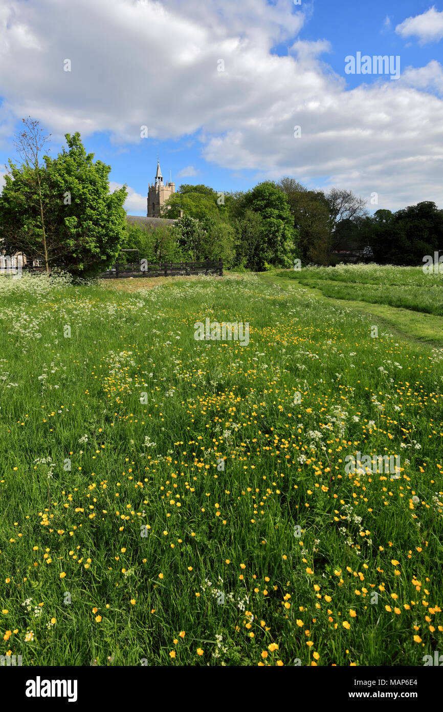 Burwell High Resolution Stock Photography and Images Alamy