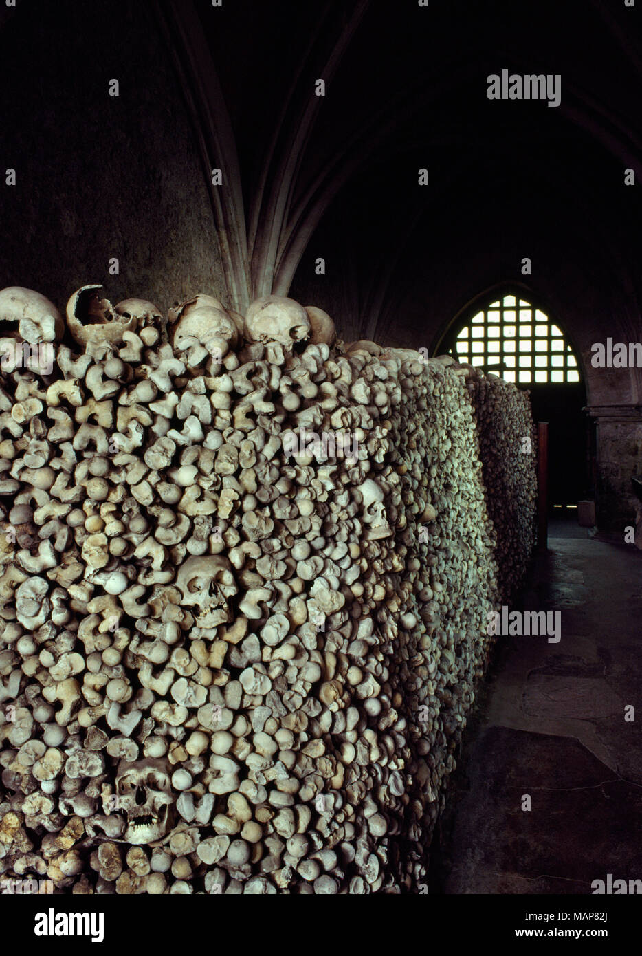 Part of the collection of human thigh bones & skulls representing some 2000 individuals stacked in the Crypt of St Leonard's Church, Hythe, Kent. Stock Photo