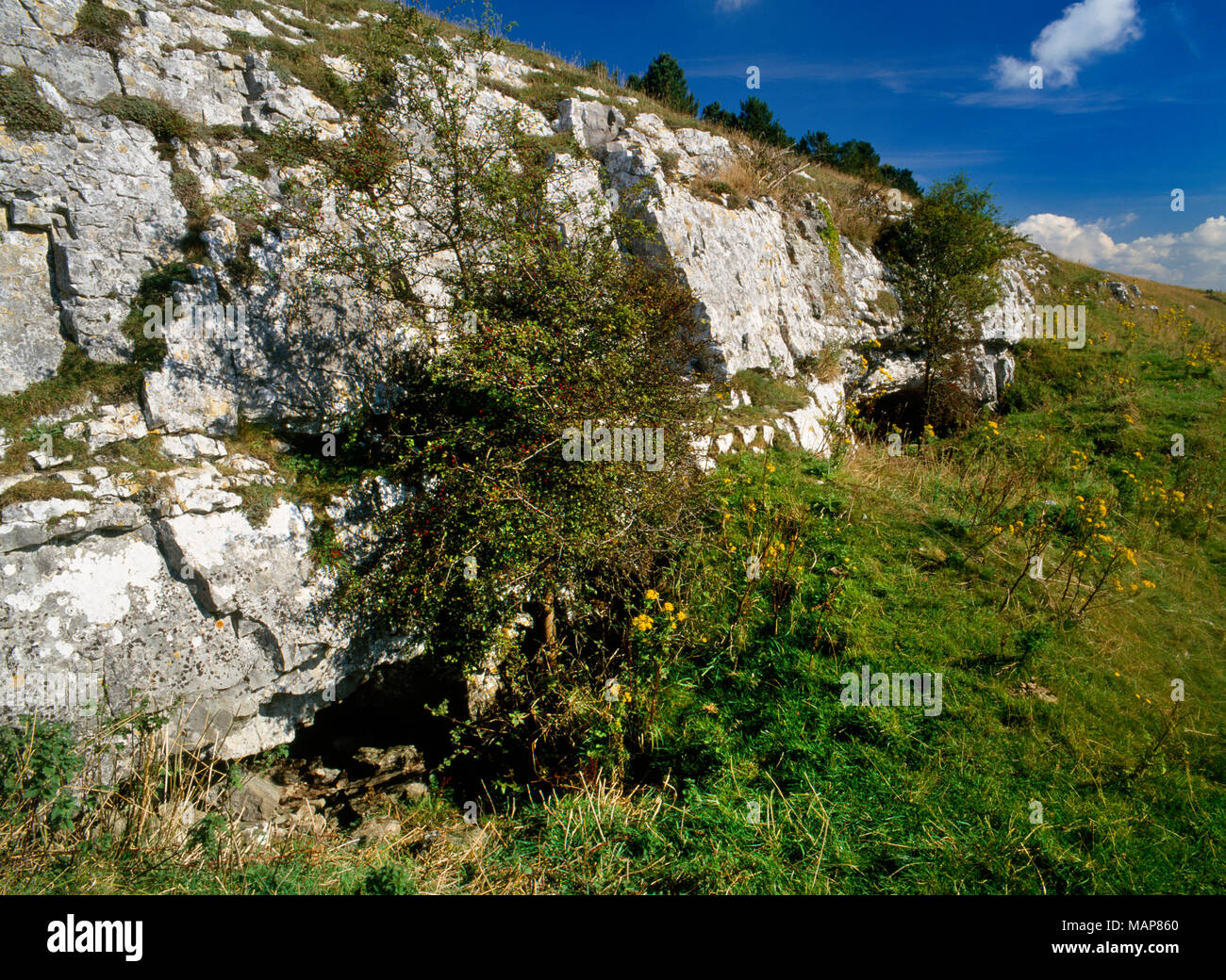 View NE of interconnected cave (L) & rock shelter (R) in limestone cliff face below Gop Hill cairn, Flintshire, Wales, UK: site of Neolithic burials. Stock Photo