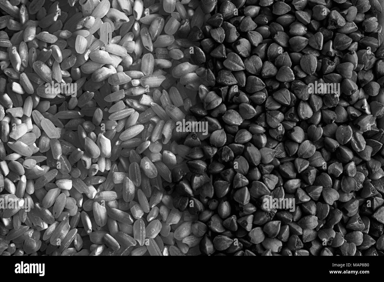 Monochrome Rice and buckwheat grain texture, The concept of proper nutrition and healthy lifestyle. Top view, close-up as background or texture. Stock Photo