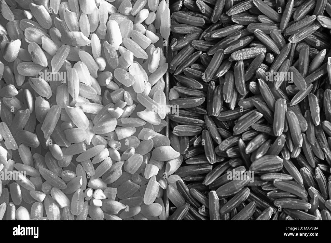 Monochrome and wholemeal brown Rice organic texture, Asian uncooked short milled rice as background . The concept of proper nutrition and healthy life Stock Photo
