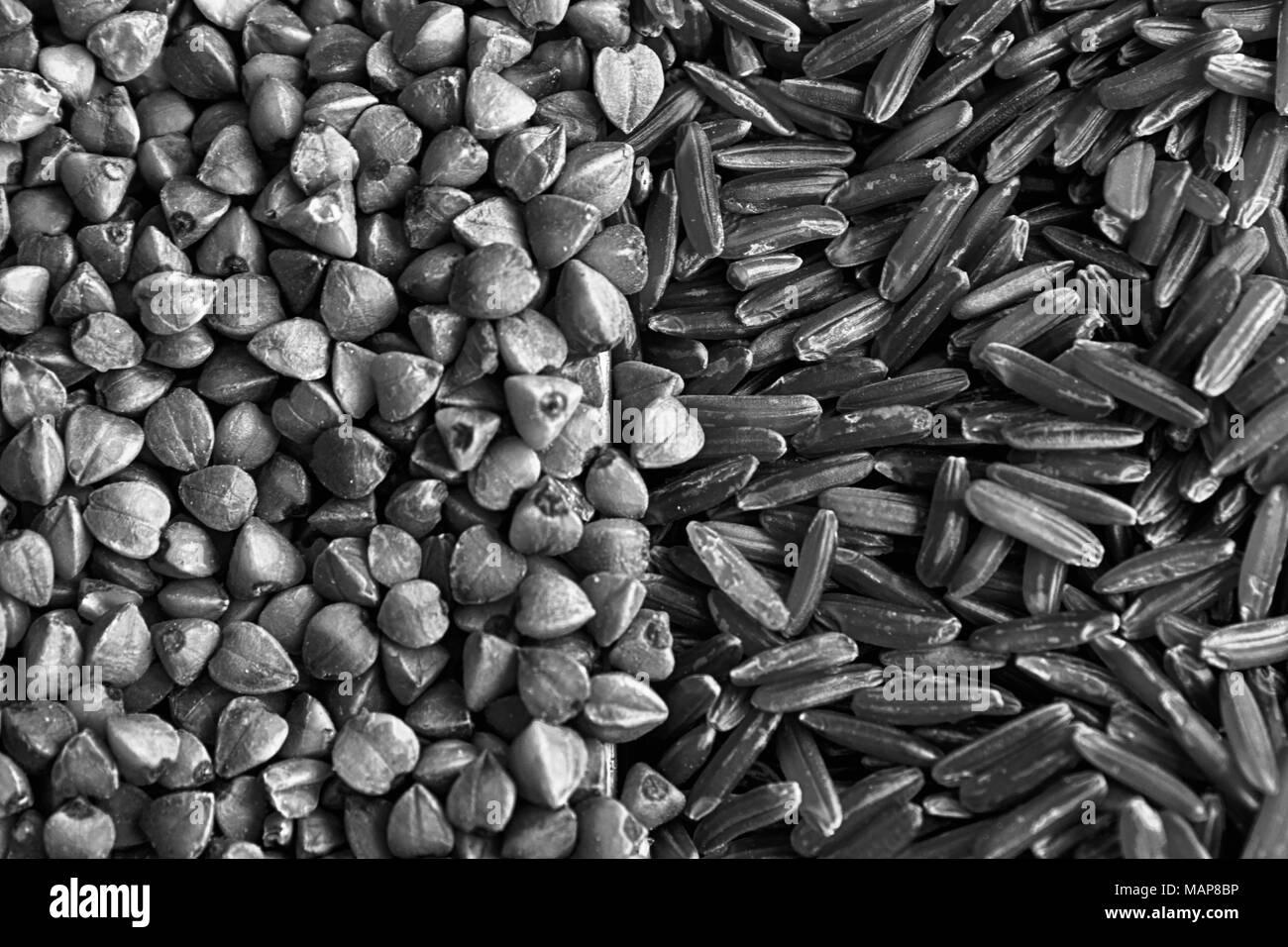 Monochrome Rice and buckwheat grain texture, background for web site or mobile devices. Stock Photo