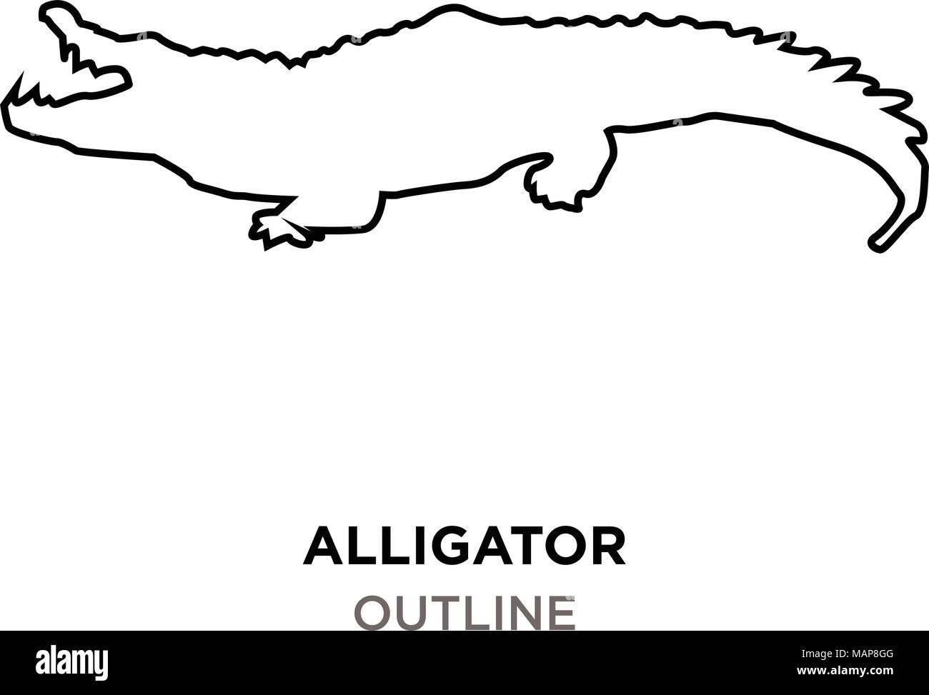 alligator outline on white background Stock Vector Image & Art - Alamy