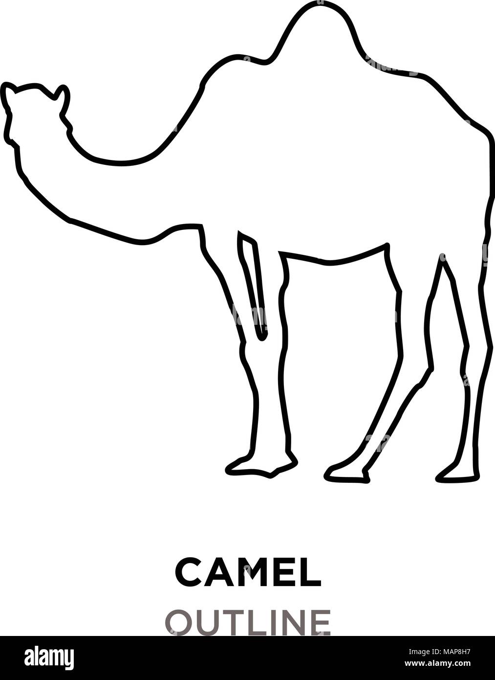 camel outline on white background Stock Vector Image & Art - Alamy