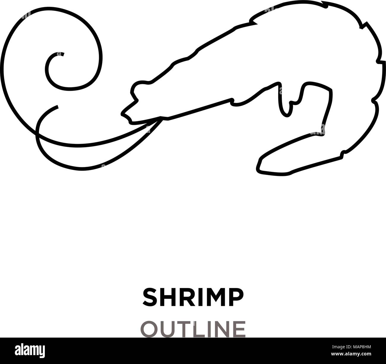 shrimp outline on white background Stock Vector Image & Art - Alamy